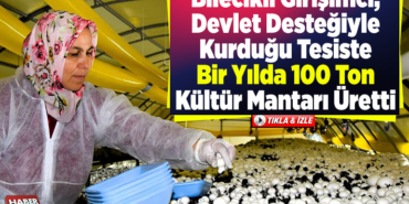 Bilecikli girişimci, devlet desteğiyle kurduğu tesiste bir yılda 100 ton kültür mantarı üretti