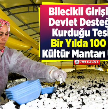Bilecikli girişimci, devlet desteğiyle kurduğu tesiste bir yılda 100 ton kültür mantarı üretti