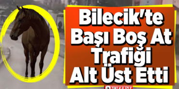 Bilecik'te başı boş at trafiği alt üst etti