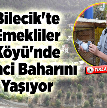 Bilecik'te emekliler köyü'nde ikinci baharını yaşıyor
