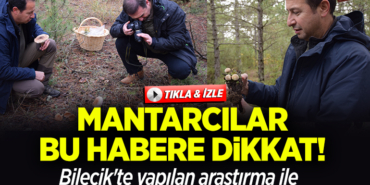 MANTAR