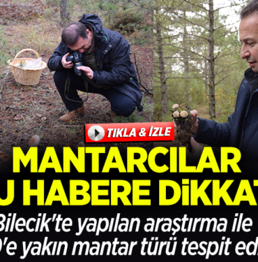 MANTAR