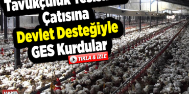 Tavukçuluk tesisinin çatısına devlet desteğiyle GES kurdular