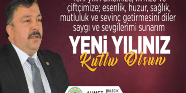 ahmet sevinen