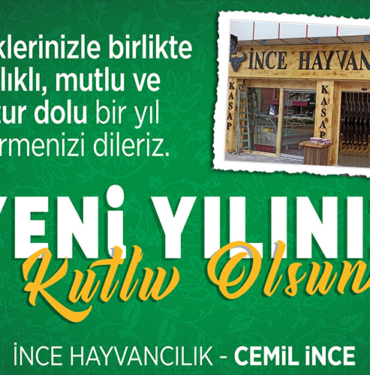 ince hayvancılık