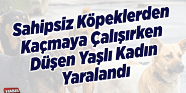 sahipsiz köpeklerden kaçmaya çalışırken düşen yaşlı kadın yaralandı