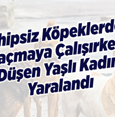 sahipsiz köpeklerden kaçmaya çalışırken düşen yaşlı kadın yaralandı