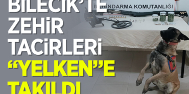 yelkenn