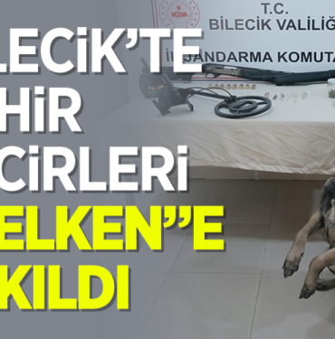 yelkenn