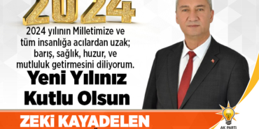 zeki kayadelen