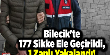 Bilecik'te 177 sikke ele geçirildi, 1 zanlı yakalandı