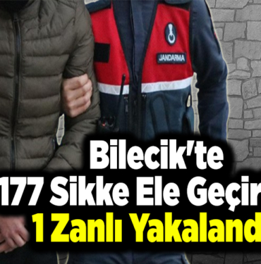 Bilecik'te 177 sikke ele geçirildi, 1 zanlı yakalandı