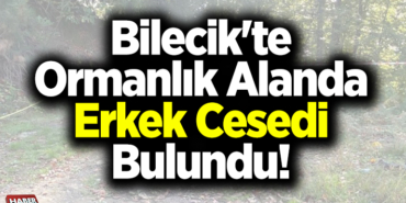 Bilecik'te Ormanlık Alanda Erkek Cesedi Bulundu!