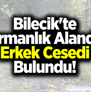 Bilecik'te Ormanlık Alanda Erkek Cesedi Bulundu!
