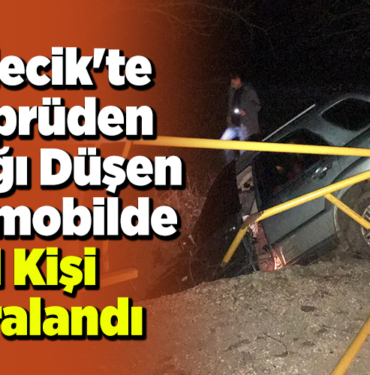 Bilecik'te köprüden aşağı düşen otomobilde 1 kişi yaralandı