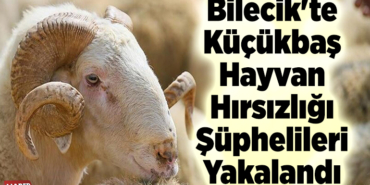 Bilecik'te küçükbaş hayvan hırsızlığı şüphelileri yakalandı