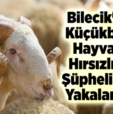 Bilecik'te küçükbaş hayvan hırsızlığı şüphelileri yakalandı