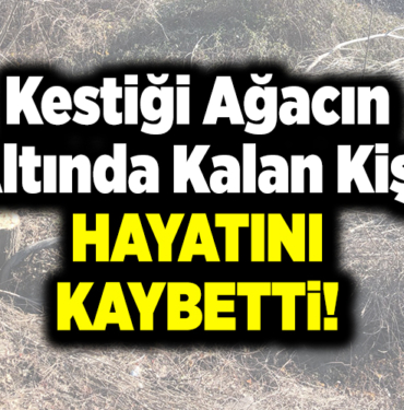 Kestiği ağacın altında kalan kişi öldü