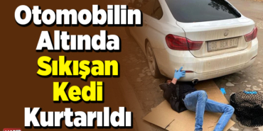 Otomobilin altında sıkışan kedi kurtarıldı