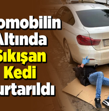 Otomobilin altında sıkışan kedi kurtarıldı