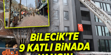 yangın