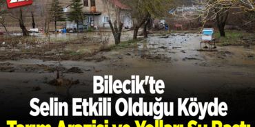 Bilecik'te selin etkili olduğu köyde tarım arazisi ve yolları su bastı
