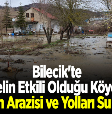 Bilecik'te selin etkili olduğu köyde tarım arazisi ve yolları su bastı