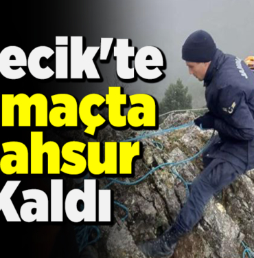 Bilecik'te yamaçta mahsur kaldı