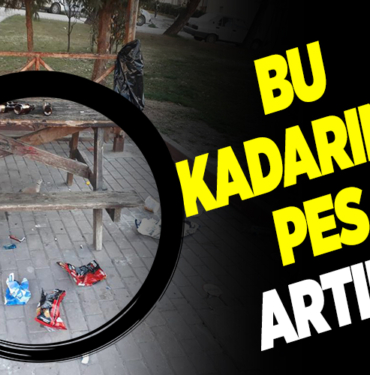 PES ARTIK