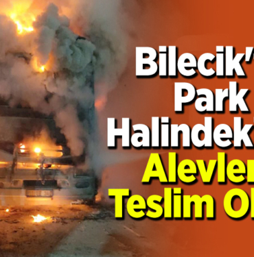 Park Halindeki Tır Alevlere Teslim Oldu!