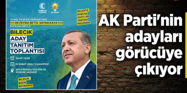 ak parti