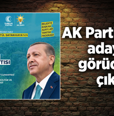 ak parti
