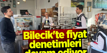 denetım