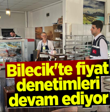 denetım