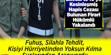 fuhuş, görevi yaptırmamak için direnme, silahla tehdit, kişiyi hürriyetinden yoksun kılma