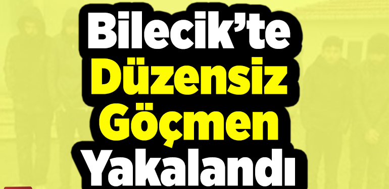 Düzensiz göçmen yakalandı