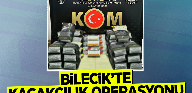 Bilecik’te kaçakçılık operasyonu