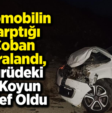 Otomobilin çarptığı çoban yaralandı, sürüdeki 6 koyun telef oldu