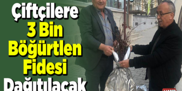 çiftçilere 3 bin böğürtlen fidesi dağıtılacak