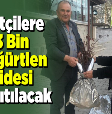çiftçilere 3 bin böğürtlen fidesi dağıtılacak