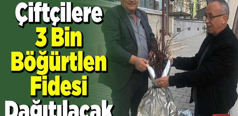 Çiftçilere 3 bin böğürtlen fidesi dağıtılacak