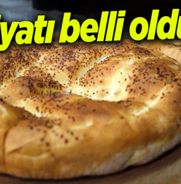 fiyatı