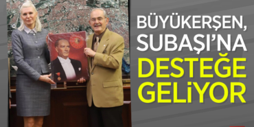 subasına