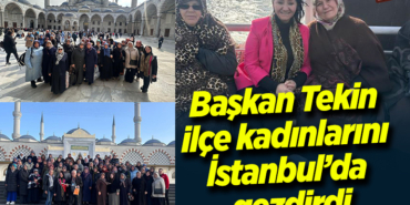 tekin