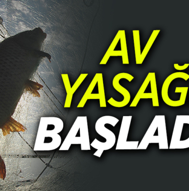 yasak