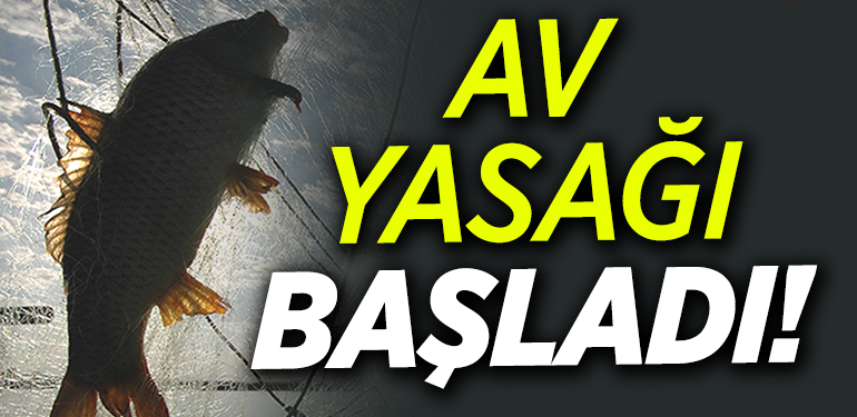 Av yasağı başladı