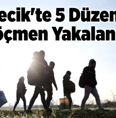 Bilecik'te 5 düzensiz göçmen yakalandı