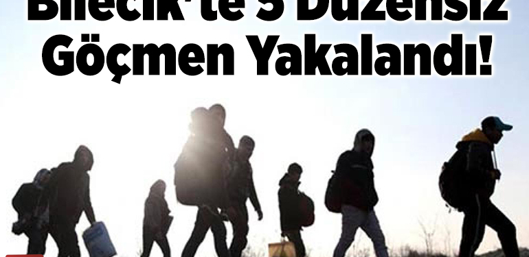 Bilecik’te 5 düzensiz göçmen yakalandı