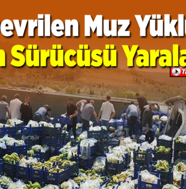 Bilecik'te devrilen muz yüklü tırın sürücüsü yaralandı