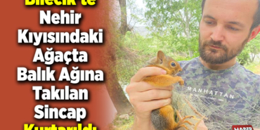 Bilecik'te nehir kıyısındaki ağaçta balık ağına takılan sincap kurtarıldı
